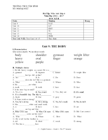 Bài tập ôn học kì II môn Tiếng Anh Lớp 6 - Năm học 2016-2017 - Trường THCS Tân Bình