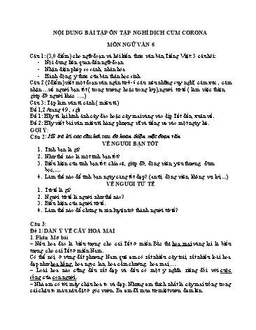 Bài tập ôn tập nghỉ dịch cúm corona môn Ngữ văn 6
