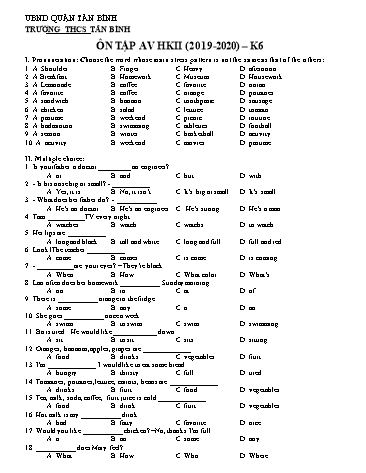 Đề cương ôn tập học kì II môn Tiếng Anh Khối 6 - Năm học 2019-2020 - Trường THCS Tân Bình