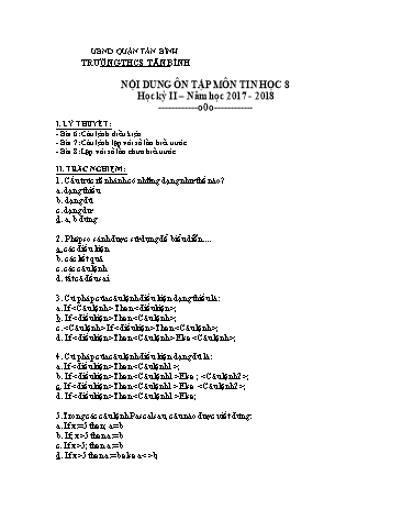 Đề cương ôn tập học kì II môn Tin học 8 - Năm học 2017-2018 - Trường THCS Tân Bình
