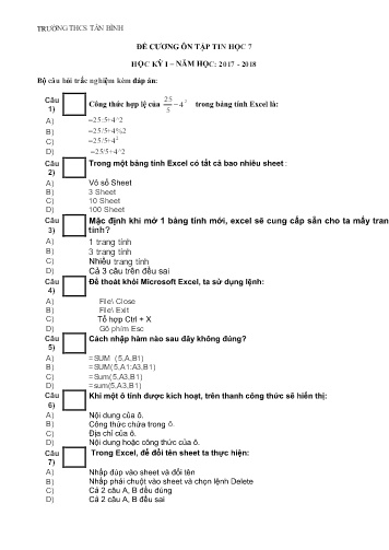 Đề cương ôn tập học kỳ 1 môn Tin học 7 - Năm học 2017-2018 - Trường THCS Tân Bình