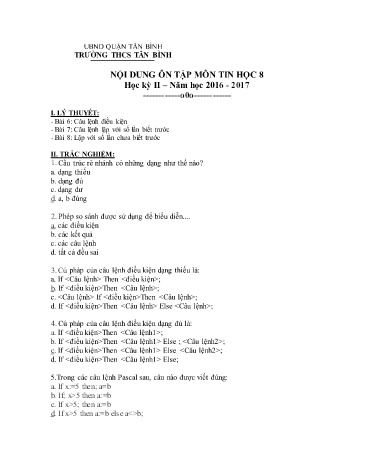 Đề cương ôn tập học kỳ II môn Tin học 8 - Năm học 2016-2017 - Trường THCS Tân Bình