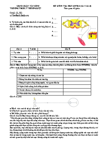 Đề kiểm tra học kì II môn Sinh học 8 - Năm học 2017-2018 - Trường THCS Lý Thường Kiệt (Có đáp án)