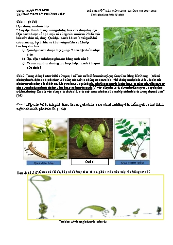 Đề thi học kỳ 2 môn Sinh học Khối 6 - Năm học 2017-2018 - Trường THCS Lý Thường Kiệt (Có đáp án)