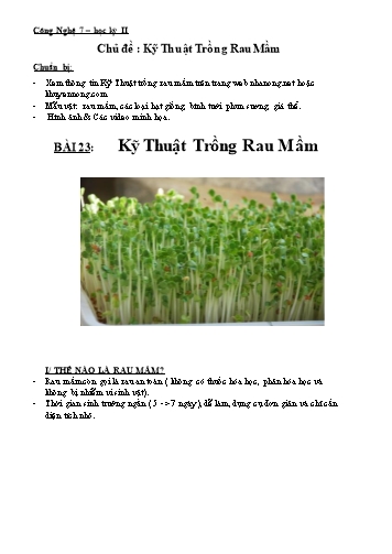 Giáo án Công nghệ 7 - Bài 23: Kỹ thuật trồng rau mầm