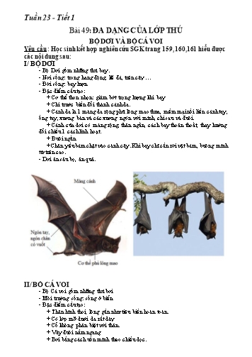 Giáo án Sinh học Lớp 7 - Bài 49+50