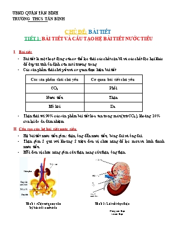 Hệ thống kiến thức ôn tập học kì 2 môn Sinh học 8 - Trường THCS Tân Bình