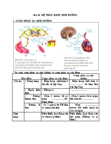 Hướng dẫn tự học môn Sinh học Lớp 8 - Bài 48+49