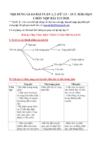 Kế hoạch bài dạy Sinh học 8 - Bài 46 đến 49 - Năm học 2019-2020 - THCS Nguyễn Tri Phương