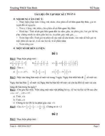 Tài liệu Ôn tập học kỳ 2 môn Toán Lớp 6 - Năm học 2016-2017 - Trường THCS Tân Bình