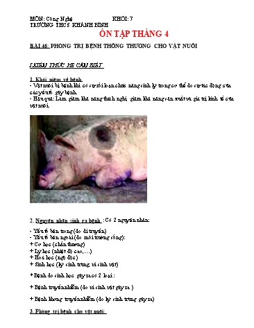 Tài liệu Ôn tập kiến thức Công nghệ 7 - Bài 46: Phòng trị bệnh thông thường cho vật nuôi - Trường THCS Khánh Bình