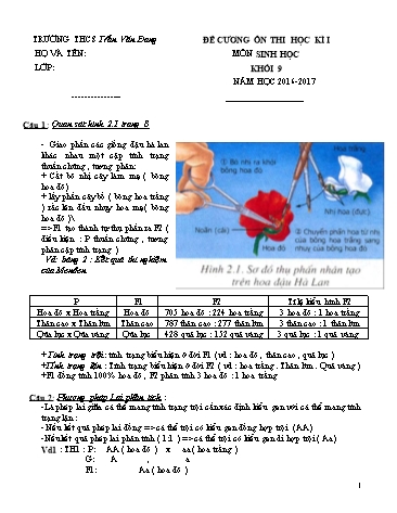 Đề cương ôn thi học kì I môn Sinh học Khối 9 - Năm học 2016-2017 - Trường THCS Trần Văn Đang