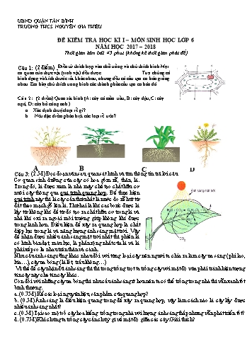 Đề kiểm tra học kì I môn Sinh học 6 - Năm học 2017-2018 - Trường THCS Nguyễn Gia Thiều (Có đáp án)