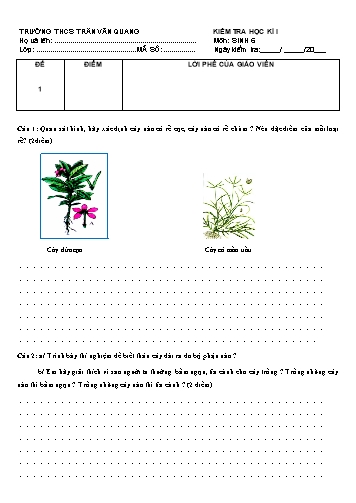 Đề kiểm tra học kì I môn Sinh học 6 - Trường THCS Trần Văn Quang (Có đáp án)