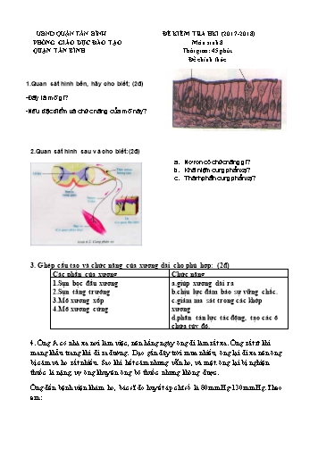 Đề kiểm tra học kì I môn Sinh học 8 - Năm học 2017-2018 - Phòng GD&ĐT Tân Bình (Có đáp án)