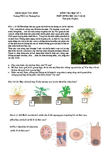 Đề kiểm tra học kỳ I môn Sinh học 6 - Năm học 2017-2018 - Trường THCS Lý Thường Kiệt (Có đáp án)
