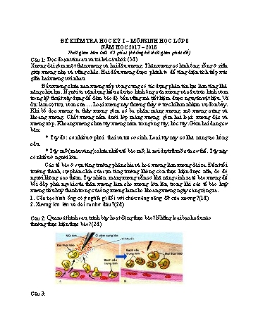 Đề kiểm tra học kỳ I môn Sinh học 8 - Năm học 2017-2018 (Có đáp án)