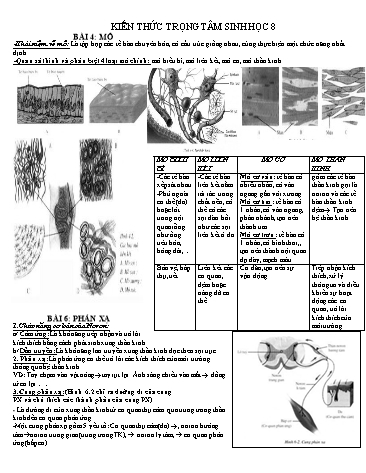 Kiến thức trọng tâm ôn tập học kì I môn Sinh học 8