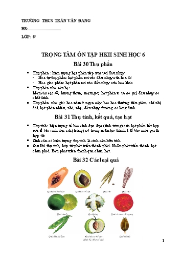 Ôn tập kiến thức trọng tâm học kì II môn Sinh học 6 - Trường THCS Trần Văn Đang